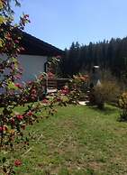 Appealing Apartment in Lenzkirch