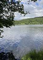 Appealing Apartment in Lenzkirch