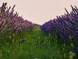 Belvilla by OYO Cotogno