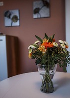 Holiday Apartment Swallow's Nest