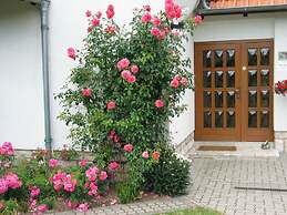 Rose Ambience Modern Retreat