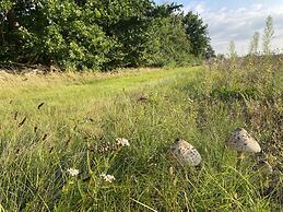 Gemutliche Unterkunft in Eschede