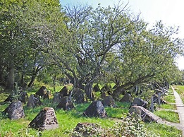 Muller Comfortable Holiday Residence