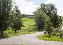House in Arnhem With Rhine Views