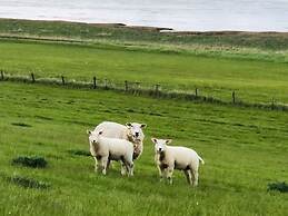 Frog Prince Modern Retreat