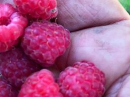 6 Person Holiday Home in Asenfjord-by Traum