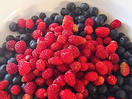 6 Person Holiday Home in Asenfjord-by Traum