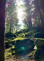 Heart of a Modern Retreat