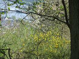 Foahrgaass 7a Modern Retreat