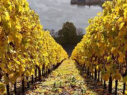 Foahrgaass 7a Modern Retreat