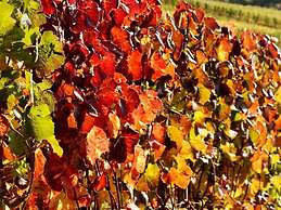 Foahrgaass 7a Modern Retreat