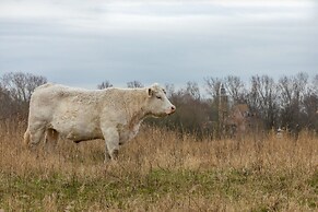 Holiday Home Near the Town Center of Renesse