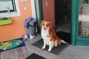 Attractive Apartment With Terrace