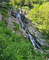 Apartment at the Edge of the Forest
