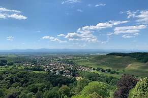 Apartment at the Edge of the Forest