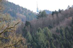 Apartment at the Edge of the Forest