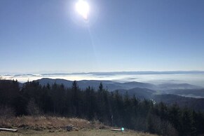 Apartment at the Edge of the Forest