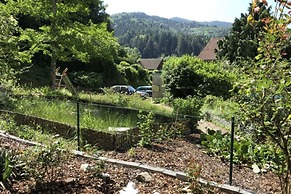 Apartment at the Edge of the Forest