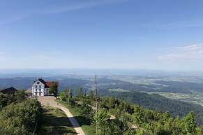 Apartment at the Edge of the Forest
