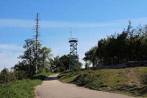 Apartment at the Edge of the Forest