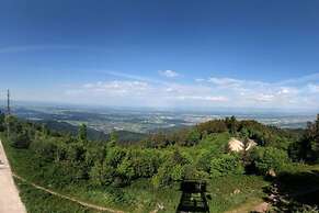 Apartment at the Edge of the Forest