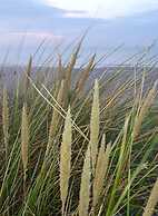 De Haan Comfortable Holiday Residence