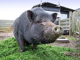 Holiday Home Near Forest With Wellness Garden