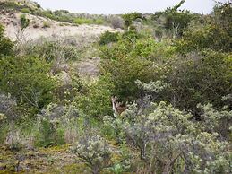 Holiday Home in Noordwijk aan zee
