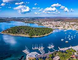 Comfortable Apartment With Terrace and Garden