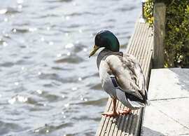 Waterfront Family Retreat