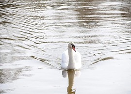 Waterfront Family Retreat