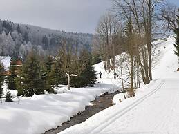 Rasehorn Comfortable Holiday Residence