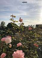 Pleasant Apartment With Terrace