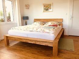 Pleasant Apartment With Terrace