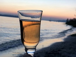 Pleasant Apartment With Terrace