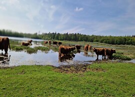 Holiday Home in Alkmaar by Canal