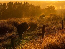 Typical Ardennes Chalet With hot tub