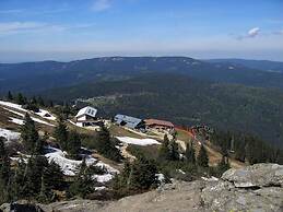 Nice Apartment in Piedmont