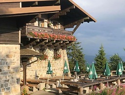 Nice Apartment in Piedmont