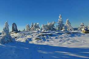 Holiday Home Lykkehjem in Amli