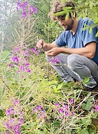 The Parents' House Comfortable Holiday Residence