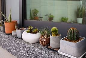 Little yard No. 66 Homestay