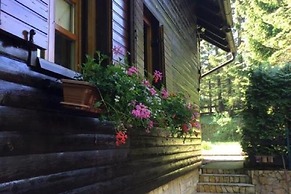 Holiday Home Snow Hill With Swimming Pool