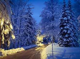 Holiday Home Snow Hill With Swimming Pool