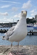 Holiday House Beach Rider