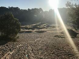 Holiday Apartment Salt and Dunes