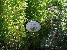 Lagrein in the Prantenbergergut