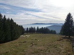 Modern Apartment in Soultzeren