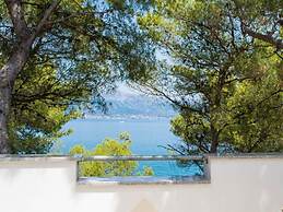 Apartment Villa Rosea