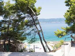 Apartment Villa Rosea